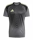 adidas Performance Tiro 25 Competition Torwarttrikot grau, L Herren