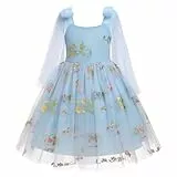 FYMNSI Blumenmädchen Kleid Mädchen Blumen Stickerei Tutu Tüllkleid Prinzessin Partykleid Baby Taufkleid Festliches Festkleid Hochzeit Ballkleid Abendkleid Erstkommunion Kleider Fee Kostüm Blau 5-6J