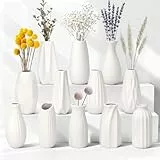 JBER 12 Kleine Pampasgras Vasen Deko Satz - 13cm Weiße Keramik Blumenvase Matte Vase für Trockenblumen, Moderne Home Decor Boho Skandinavische Deko Vase, Dekoration für Wohnzimmer, Hochzeitstisch