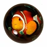 trendaffe Clownfisch Briefbeschwerer -