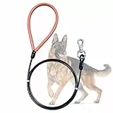 Mi Metty Hundeleine 5ft Leinen für Hunde，Kausichere Hundeleinen,Kettenleine Für mittlere bis große Hunde (Schwarz, 5ft/1.5m)
