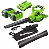 Greenworks 40V Akku Laubsauger/ Laubbläser mit bürstenlosem Motor, 370 km/h, 14.17m³/min, 45L Fangsack mit 2x 2Ah Akkus & Ladegerät, 3 Jahre Produkt-Garantie