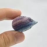 AITELEI 1 Zoll Regenbogen Fluorit Igel Handgeschnitzter Kristall Edelstein Tier Schnitzereien Figuren Sammlung Reiki Heilkristall Stein