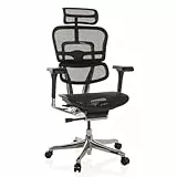 hjh OFFICE Bürostuhl ergonomisch ERGOHUMAN GEN2 Originales Design, 24h Einsatz Bürosessel mit Flexibler Lordosenstütze, Netz Schwarz
