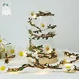 Auting LED Blumen-Lichterkette mit Timer | 2.5m 21 Micro LEDs warmweiß (2700K) | Batteriebetrieben für Fensterdeko & gänseblümchen lichterkette innen | room decor Hochzeit, Geburtstag,Frühling deko