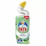 WC ENTE Total Aktiv Gel, Flüssiger WC Reiniger antibakteriell, Toilettenreiniger, Mint Melody, 1er Pack (1 x 750 ml)