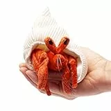 Folkmanis Puppet Mini Hermit Crab 2786 Finger Puppet Mini Hermit Crab
