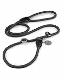 lionto Retrieverleine robust und wetterfest für Hunde Aller Größen, schnell anzulegende Hundeleine und Halsband in Einem, 170 cm, fellschonende Führleine mit integriertem Zugstopp, vegan, schwarz