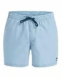 Quiksilver - Everyday Deluxe Volley 15' Boardshorts - Mann