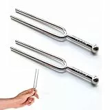 2 Stuck Stimmgabel,Stimmgabel Inkl. A440 Hz Stimmgabel Aus Edelstahl,Reinigungstuch Und Schwarzer Aufbewahrungstasche,Stimmgabel Set Für Musical Standard-Instrumente,Violine,Gitarren,Tuner Geräte