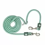 Max & Molly Tauleine Hund, 2m stufenlos verstellbare Hundeleine kleine Hunde leicht mit 2 Karabinern, nur 122 Gramm, Matrix 2.0, Jade/S, aus Nylon - Komfort für Dich und deinen treuen Begleiter