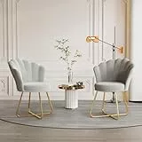Hawthyhome 2er Set Polstersessel esszimmerstühle，Stuhl schminktisch， Stuhl samt，Blütenblatt-Rückenlehne Lehnstuhl mit Metallbeinen Gold，Bis150lb belastbar Grau