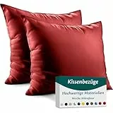 Kissenbezug 65x65 Mikrofaser Premium 2er Set Kissenhülle Deko für Kissen Sofa/Bett Stoff Superweicher Resistent Hypoallergen Anti-Milben Atmungsaktiv Kopfkissenbezug mit Verdecktem Zip Voll Waschbar