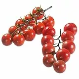 Deco Woerner Fake Cherrytomaten-Set Lebensmittel-Attrappe Deko-Tomate rot 20 cm Dekoration