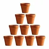 OUNONA 10 Stücke Kleine Mini Terrakotta Topf Ton Keramik Keramik Pflanzer Kaktus BlumentöPfe Sukkulenten Kindergarten Töpfe ideal für Pflanzen Handwerk Hochzeit Gunsten (2.8*2.8*4.5cm/1.1*1.1*1.8inch)