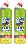 Domestos Kraft & Frische WC-Gel Lime Fresh sorgt für hygienische Sauberkeit im Badezimmer (Packung mit 2)