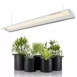 Spider Farmer LED Pflanzenlampe SF600 LED Grow Lampe Vollspektrum Grow Light Wachstumslampe für Zimmerpflanzen mit Reflektor Pflanzenleuchte Pflanzenlicht für Innen Gartenarbeit Gemüse Blume 384 LEDs