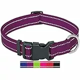DEY - Premium Hundehalsband Nylon, Reflektierend, Verstellbar, für Kleine u. Große Hunde, viele Farben u. Größen, Hund Welpe, Hunde-Halsbänder, Katzen-Halsband, Welpen-Halsband, Lila, M