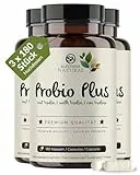 Surpresa Natural Probio Plus Kapseln hochdosiert I 3x 180 Kapseln mit Inulin & Bacillus subtilis I 20 Mrd. KBE pro Tag I Kulturen Komplex 18 Bakterienstämme I magensaftresistent & vegan