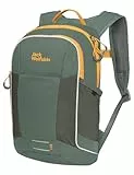 Jack Wolfskin Unisex Kinder Kids Moab Jam Bikerucksack, Hedge Green, ONE Size