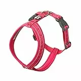 Hurtta Casual Y-Geschirr ECO Komfortables nachhaltiges Hundegeschirr (Ruby, 30-35 cm)