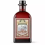 V-SINNE Himbeer Gin - intensives Himbeeraroma | Manufakturqualität aus dem Schwarzwald | Ohne künstliche Aromen | 31 Botanicals | 40% 500ML