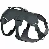 Ruffwear Web Master Hundegeschirr, Y-Front-Hundegeschirr mit Griff und verbesserter Schnalle, verstellbar und leicht für Spaziergänge und Wanderungen, fluchtsicher, kein Ziehen,Basalt Gray, Größe L/XL