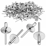 TXXATX 4,8x25mm Blindnieten mit Großem Flansch 120 Stück Kuppelkopf Popnieten Silber Blindnieten 4,8 mm Alu Nieten für Holzbearbeitung Möbel Blech Kraftfahrzeuge Mechanische Ausrüstung Industrie