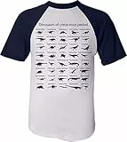Baddery Kinder T-Shirt: „Welt der Dinosaurier/Kreidezeit“ (98/104)
