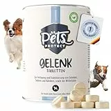 Pets PROTECT GELENK-TABLETTEN für Hunde | Deutsche Herstellung | Hochdosiert mit Grünlippmuschel, MSM, Glucosamin & Teufelskralle | Als Leckerli geeignet | Für Hunde jeden Alters | 100 Tabletten