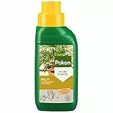 Pokon Palmen-Flüssigdünger 250ml, Flüssige Spezialnahrung für alle Palmenarten, mit Extra Eisen