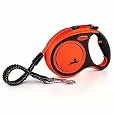flexi® Xtreme L Gurt 5 m schwarz, extrem beißfester oranger Gurt, extra robuste Roll-Leine für Hunde bis 65 kg