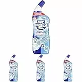 WC Frisch WC-Reiniger Gel Ozeanfrische (750 ml), WC-Reiniger mit Lufterfrischer-Effekt, Toilettenreiniger sorgt für hygienische Frische, mit 4-fach Aktivstoff-Kombination (Packung mit 4)