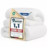 BEDSURE Bettdecke 135x200 Winterdecke 450gsm - 4 Jahreszeiten 2 teilig Bettdecken - Inklusive Ganzjahresdecke 135x200 300gsm & Sommerdecke 200x135 150gsm, Steppdecke für Winter/Sommer/Vierjahreszeiten