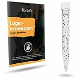 Panteer ® Lagererzwespen - 40 Nützlinge - Brotkäfer bekämpfen und Kornkäfer bekämpfen - Besser als Brotkäfer Falle - Zwei Arten für hohe und kühle Temperaturen - Made IN Germany (10 Stück)