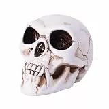 Tuzsocr Vampir-Totenkopf-Figur, Totenkopf-Ornament, Harzzähne, Totenkopf-Statue, Sammelfiguren, Halloween-Totenkopf-Ornament, Schreibtisch-Horror-Ornament, Gothic-Wohnaccessoire, Geschenke,