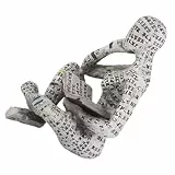 Duokon Lesende Frau Figur, Handbemalte Harz Lady Skulptur Zellstoff Bücherregal Ornament, Dekorative Statue für Schreibtisch Tisch Bücherregal, Home Decor für Wohnzimmer Schlafzimmer (G)