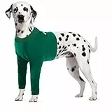 CITÉTOILE Hundebody Nach Op, Wundschutzanzüge für Hunde Mit Bein, Vornebeinschutz für Verletzung Hund, Anti-Wundlecken Op Body Hunde, E-Kragen Alternative, Grün, XL