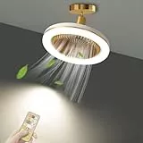 WRMING Klein Deckenventilator mit Beleuchtung, Leise Deckenventilator Schlafzimmer mit Fernbedienung, 30W Dimmbare Deckenleuchte mit Ventilator, E27-Fassung, 3-Speed, Einstellbarer Winkel, Timer, 26cm