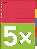 Falken Karton-Register für DIN A4 24 x 29,7 cm volle Höhe mit Organisationsdruck (5-teilig | 5er Pack)