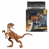 Mattel Jurassic World Hammond Collection mit Menschen- und Dinosaurier-Actionfigur, Atrociraptor Tiger, Premium-Film-Design Glasaugen & 13 Gelenkpunkte, JDJ09