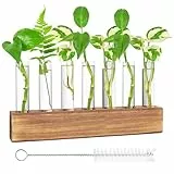 Nizirioo Reagenzglas Vase, Blumenvase Kleine Vasen Glas Reagenzgläser Modern Glasvase Mit Holzständer Reinigungsbürste Glas Pflanzer Für Blumen, Für Hydrokultur Pflanzen Home Office Decor(8 Rohr)