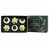 CHOCOLISSIMO - Schokolade Geschenk - 6 Edle Pralinen in Schneemann und Weihnachtsbaum Form, ohne Alkohol, Schokolade Weihnachten, alkoholfrei, Geschenkidee Kinder, Frau, Mann, Eltern - Winter Delights