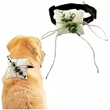 Ringkissen Hochzeit Ringträger Für Hunde, Hund Ringträger Für Verlobung Ringkissenhalter Für Hochzeit Eheringhalterbeutel Ehering Kissen Ringträgerkissen Ringhalter Für Verlobung, Hochzeitszeremonie