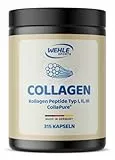 Kollagen Kapseln hochdosiert - 315 Stück - 4550mg Bioaktives Collagen Hydrolysat Peptide pro Tagesdosis - - Made in Germany Collagen Kapseln Typ 1, 2 & 3 - Wehle Sports