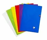 Clairefontaine 293162AMZ - Set mit 2 Heften Mimesys, 48 Blatt, DIN A4, 21 x 29,7cm, 90g, kariert, 1 Set, farbig sortiert