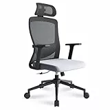 Eucladoceros Bürostuhl Ergonomisch Schreibtischstuhl mit Verstellbarer Lendenwirbelstütze und 2D-Kopfstütze und Armlehne,113° Drehstuhl Wippfunktion,Bürostuhl 150kg, Grau