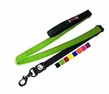 BOGO DDOXX Bungee Nylon Hundeleine - 120 cm Stoßfeste Hundeleine mit gepolsterter Handschlaufe für alle Hundegrößen - (Grün)