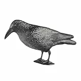 Windhager Gartenfigur Rabe, Taubenabwehr und Taubenschreck aus Kunststoff, natürliche Schädlingsbekämpfung, Schutz vor lästigen Vögeln, Krähe, Taubenschreck, 37cm, 07117, Schwarz