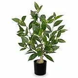 Arborus Künstliche Pflanze Baum im Topf 48 cm Künstlicher Lorbeerbaum Grünpflanzen Künstlich wie Echt im Topf Dekopflanzen auf Tisch Regal im Esszimmer Wohnzimmer Badezimmer Büro Hotel Restaurant